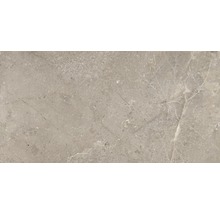 Feinsteinzeug Bodenfliese Anden Natural 60x120 cm grau matt rektifiziert