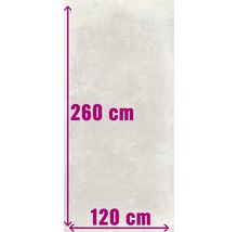 Fliese mit den Maßen 260 cm mal 120 cm.