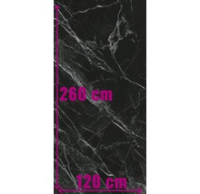 Dekorplatte in Marmoroptik, 260 cm hoch und 120 cm breit