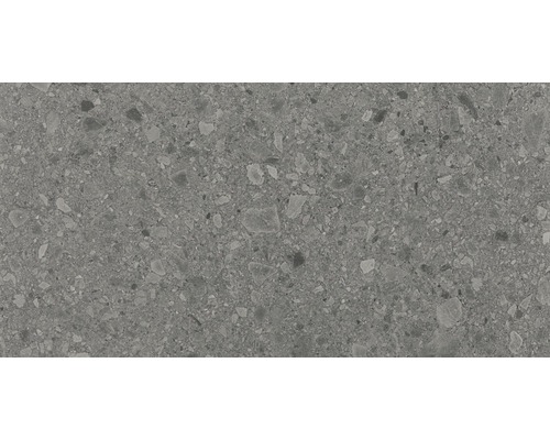 Feinsteinzeug Bodenfliese Donau 60,0x120,0 cm grau matt rektifiziert