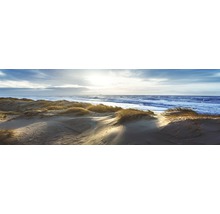 Dünenlandschaft am Meer mit Gras