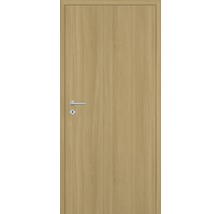 Innentür aus Holz mit Türgriff