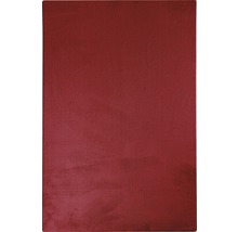 Rote Wandfarbe für Innenräume