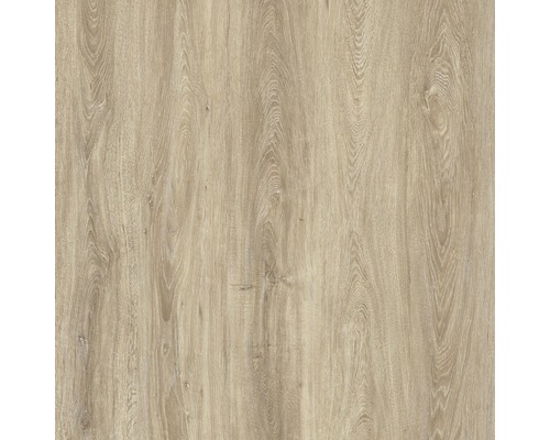 Kunststoffpaneel GX Wall+ Natural Oak 5x300x600 mm