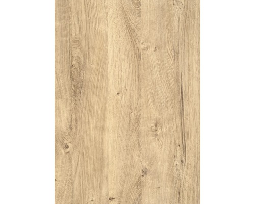 d-c-fix® Klebefolie Holzdekor Wood Ribbeck Oak 45x200 cm