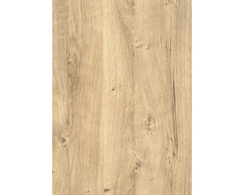 d-c-fix® Klebefolie Holzdekor Wood Ribbeck Oak 90x210 cm Holzstruktur für Möbelbau und Innenausbau