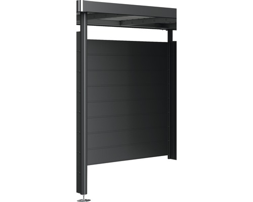 Rückwand Biohort für Seitendach zu Gartenhaus HighLine H2-H5 dunkelgrau-metallic Sichtschutzzaun aus Aluminium mit Überdachung