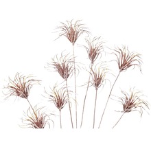 Dekorative künstliche Federgras Zweige für Wohnraumdekoration