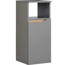 Grauer Hängeschrank mit Tür und offenem Fach