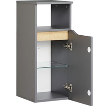 Grauer Bad-Hängeschrank mit offener Tür und Glaseinlegeböden