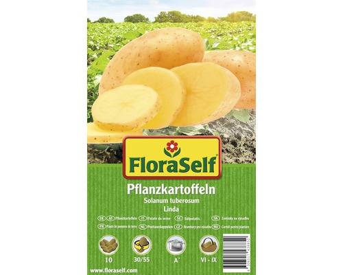 Pflanzkartoffel FloraSelf 'Linda' 10 Stk