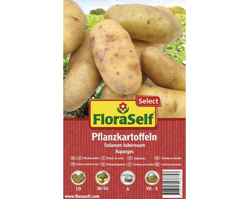 Pflanzkartoffel FloraSelf Select 'Asparges' 10 Stk