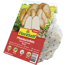 FloraSelf Pflanzkartoffeln Mandel im perforierten Beutel