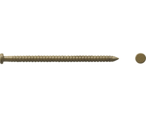 Paneelstift Ø 1,6x26 mm beige, 140 Stk. Holzschraube mit Linsenkopf und Gewinde