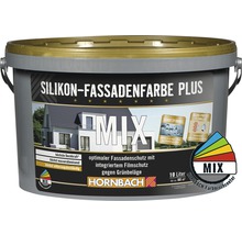 HORNBACH Silikonfarbe Silikon-Fassadenfarbe Plus im Wunschfarbton Basis A 10 l