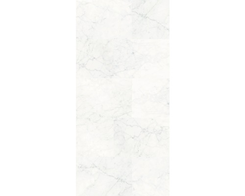 Duschrückwand Sanotechnik Sanowall 1000x2050x3 mm Marmor Weiße Bodenfliesen mit Marmoroptik