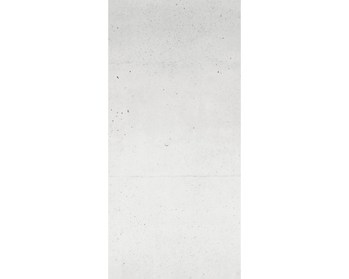 Duschrückwand Sanotechnik Sanowall 1000x2050x3 mm Beton Betonoptik