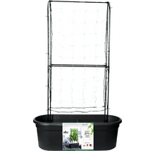 Pflanzkasten mit Rankhilfe für den Garten