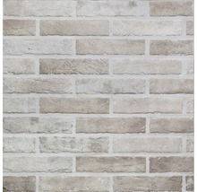 Nahaufnahme einer Wandfliese in Ziegeloptik