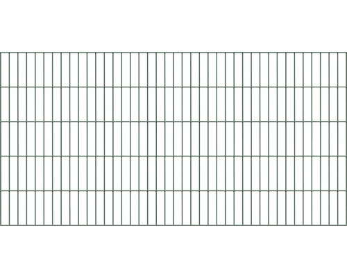 Doppelstabmatte ALBERTS 6/5/6 200 x 100 cm grün