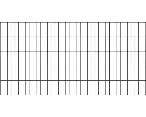 Doppelstabmatte ALBERTS Typ 6/5/6 200 x 100 cm anthrazit