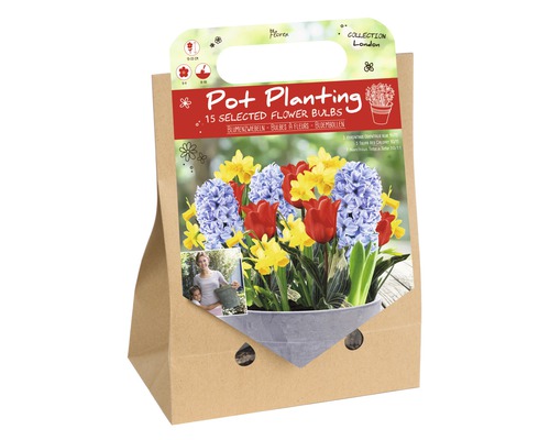 Blumenzwiebel-Mix zur Topfbepflanzung 'London' 15 Stk.