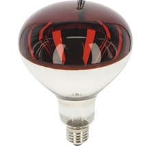 Infrarotlampe mit E27-Sockel