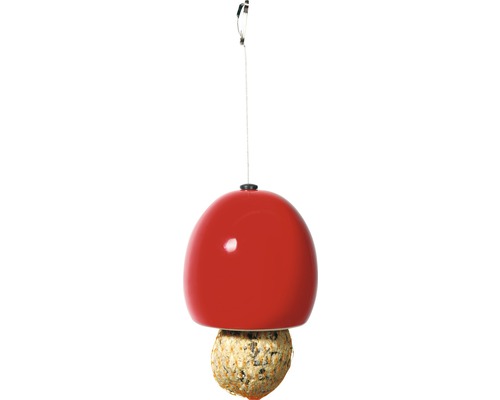 Vogelhaus mit Aufhängung und Futterknödel