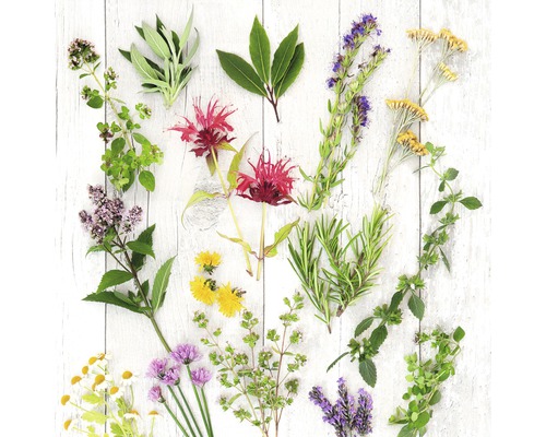 Glasbild Herbs & Flowers 20x20 cm GLA2120