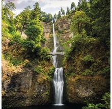 Wasserfall mit Brücke inmitten von Bäumen