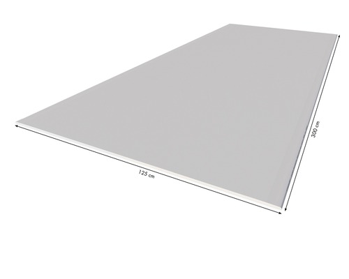 Bauplatte 125 cm x 300 cm