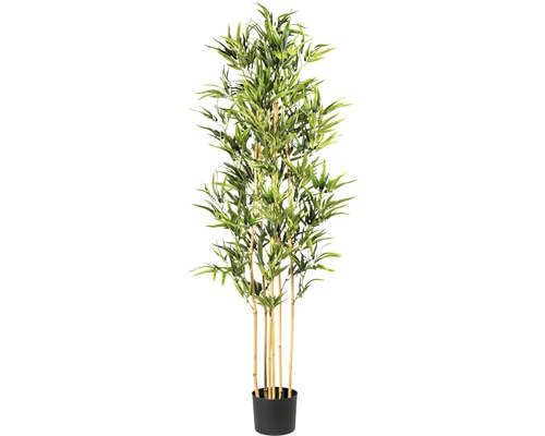 Kunstpflanze Bambus Höhe: 160 cm grün