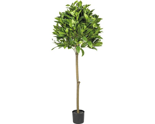 Kunstpflanze Lorbeerkugelbaum Höhe: 120 cm grün