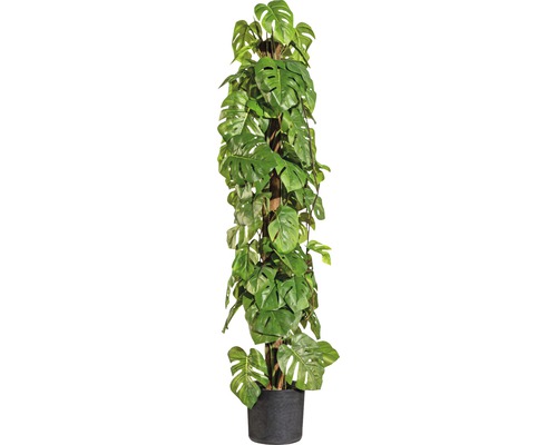 Kunstpflanze Split-Philodendron mit Cocosstamm Höhe: 90 cm grün