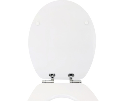 Toilettensitz mit Edelstahlscharnieren