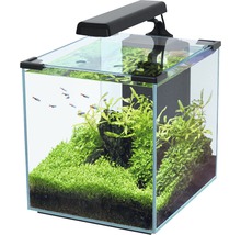 Eingerichtetes Aquarium mit Beleuchtung, Pflanzen und Fischen