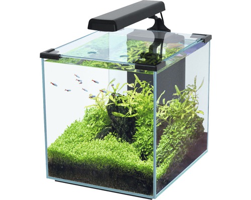 Aquarium aquatlantis Nano Cubic 30 mit Frostglasrückseite, LED-Beleuchtung, Filter, Heizer, Pumpe schwarz (ohne Schrank)