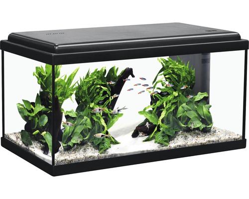 Aquarium Aquatlantis Advance inkl. Abdeckung Filtersystem inklusive Umwälzpumpe Beleuchtung Heizer/Heizstab 60 x 30 x 30 cm schwarz