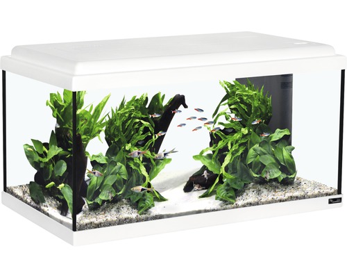 Aquarium Aquatlantis Advance inkl. Abdeckung Filtersystem inklusive Umwälzpumpe Beleuchtung Heizer/Heizstab 60 x 30 x 30 cm weiß