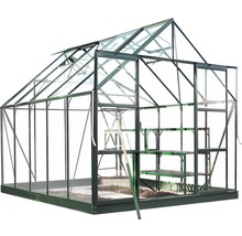 Gewächshaus Halls Magnum 108 8,3 m² Blankglas 3 mm 257x322 cm grün