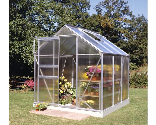 Gewächshaus Halls Popular 66 3,8 m² Hohlkammerplatten 4 mm 193x195 cm Aluminium Gewächshaus mit Pflanzenregalen und geöffnetem Fenster im Garten