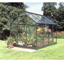 Gewächshaus aus Glas und Metall mit Pflanzen und Blumen im Garten.