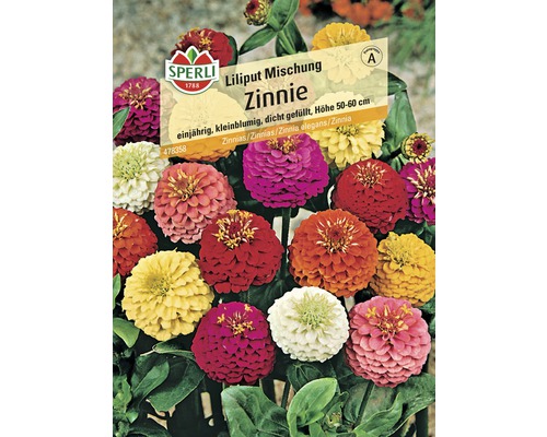 Zinnie 'Liliput' Mischung Blumensamen
