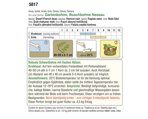 Informationen zur Aussaat und Ernte von Gartenbohnen der Sorte Buschbohne Nassau