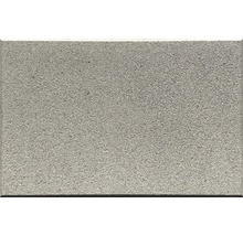 Terrassenplatte Doris grau 40x60x3,9 cm-thumb-0