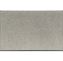 Terrassenplatte Doris grau 40x60x3,9 cm-thumb-0 Terrassenplatte Doris grau 40x60x3,9 cm-thumb-0