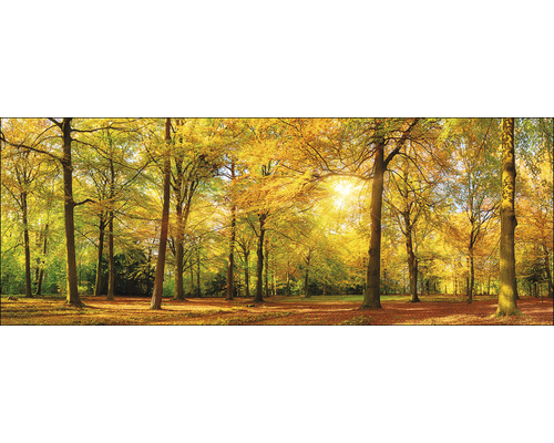 Glasbild Sonnenschein im Wald III 30x80 cm