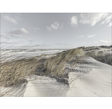 Dünenlandschaft mit Strandhafer und Meer