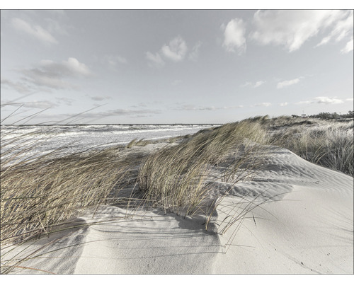 Glasbild Nordic Beach III 80x60