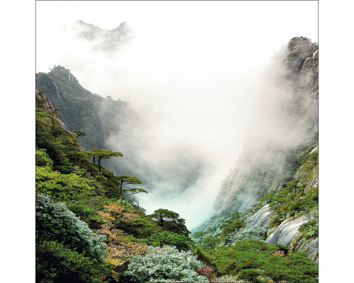 Glasbild Foggy Mountain Forest I 30x30 cm